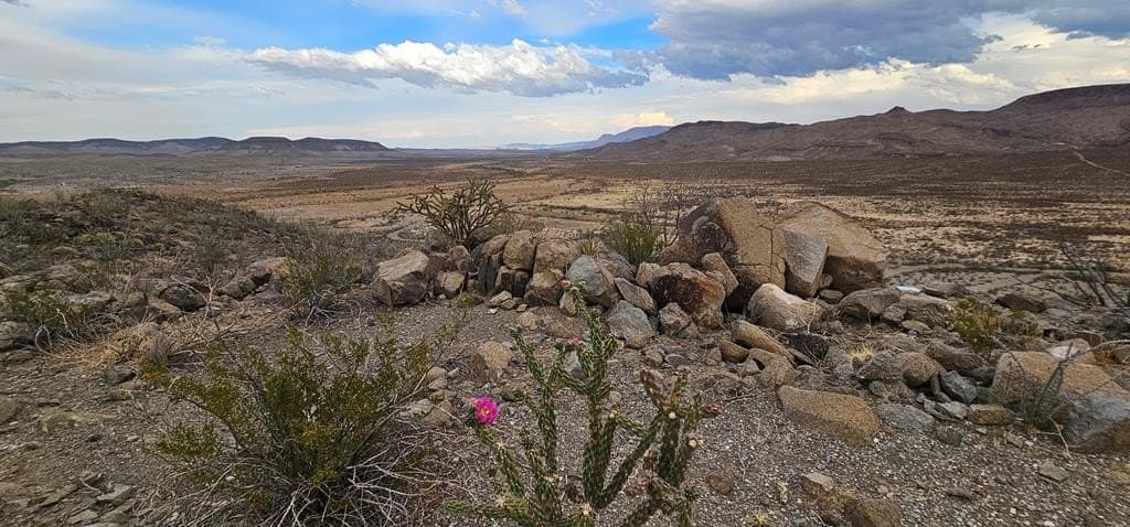 35 acres in Brewster County