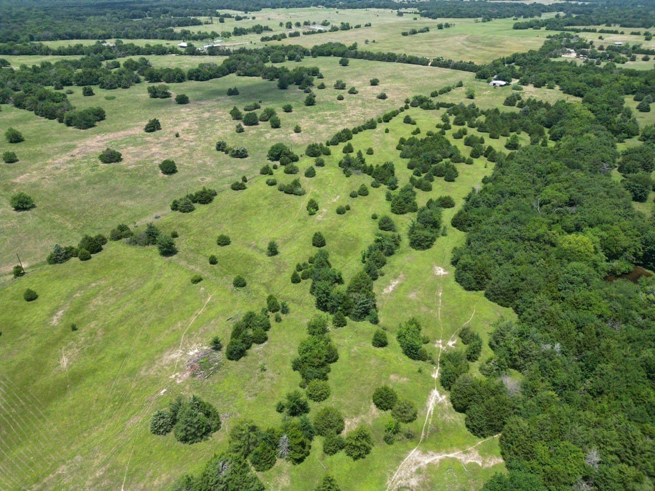 75.98 acres in Hopkins County