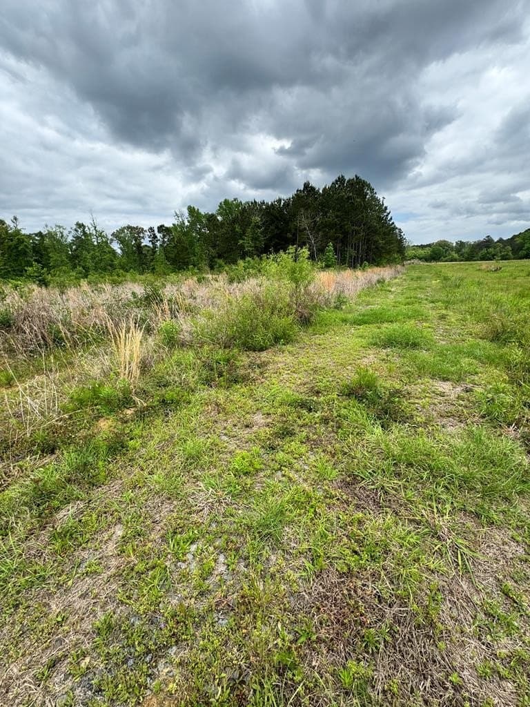4.9 acres in Texas County