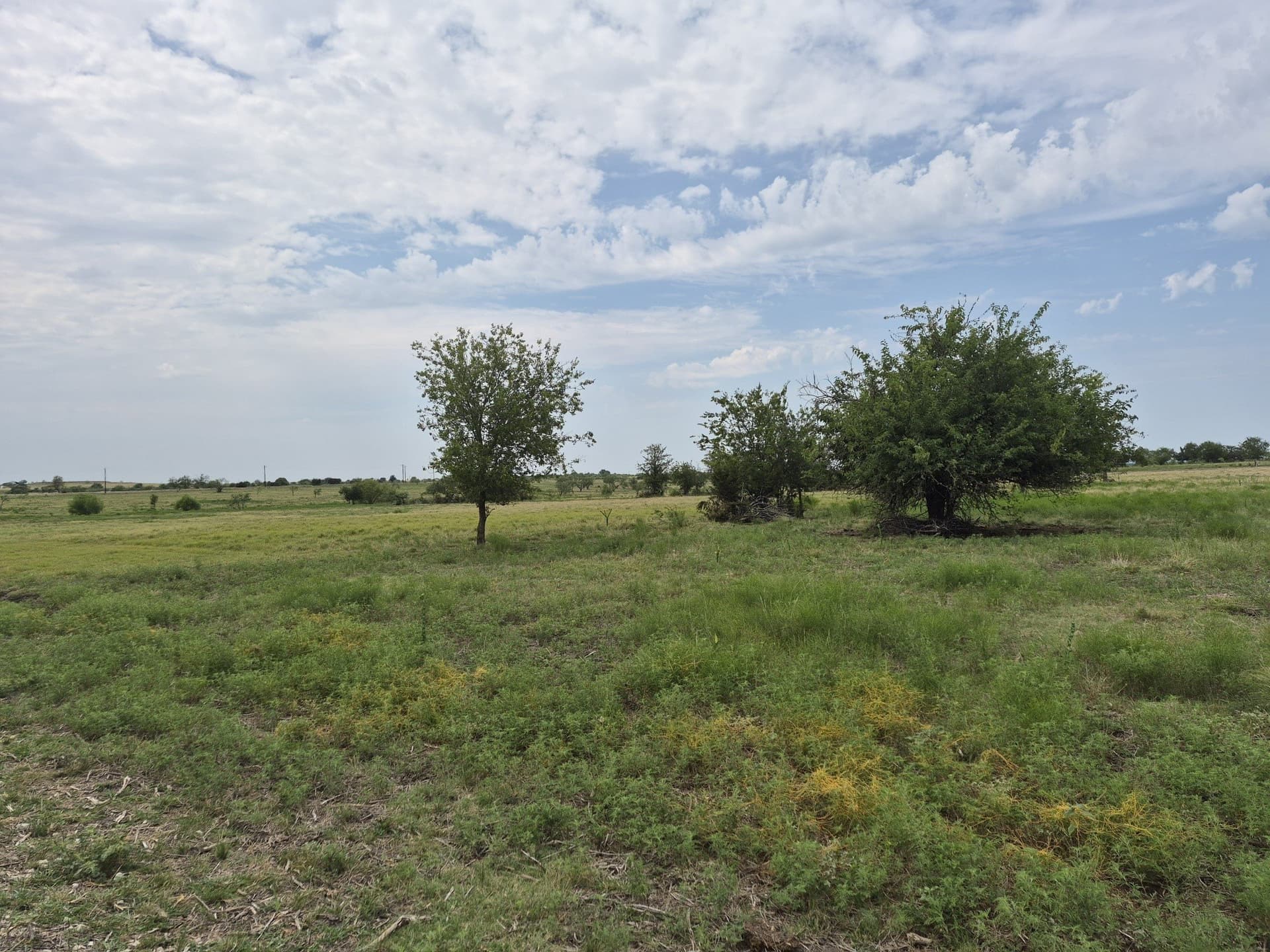 10.01 acres in Hamilton County