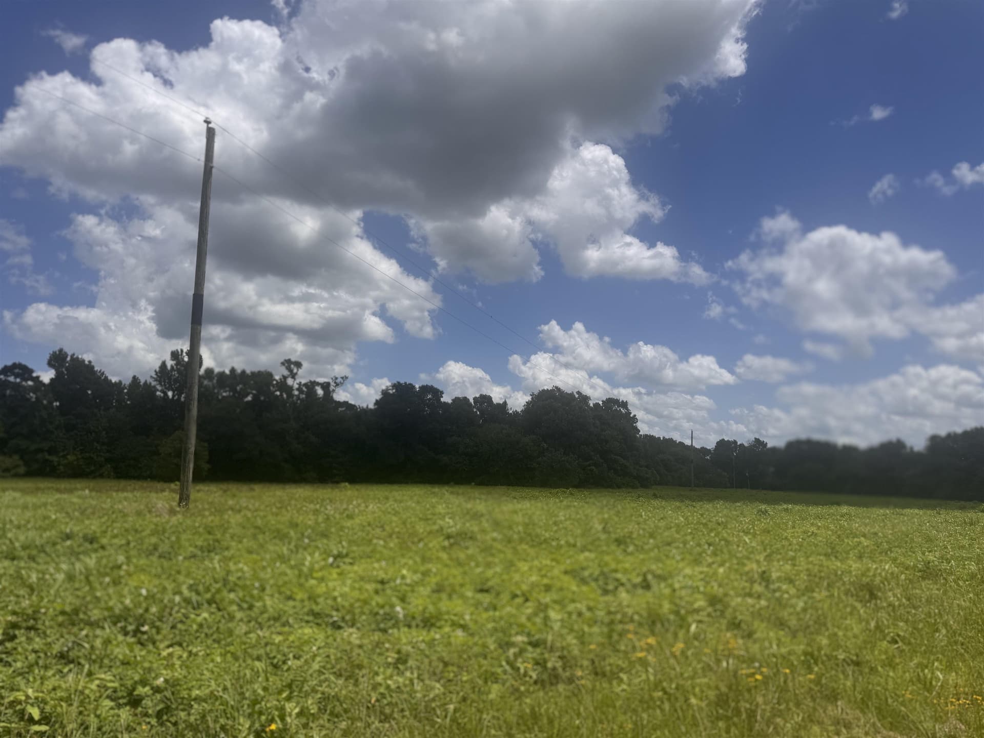 2.5 acres in Camp County