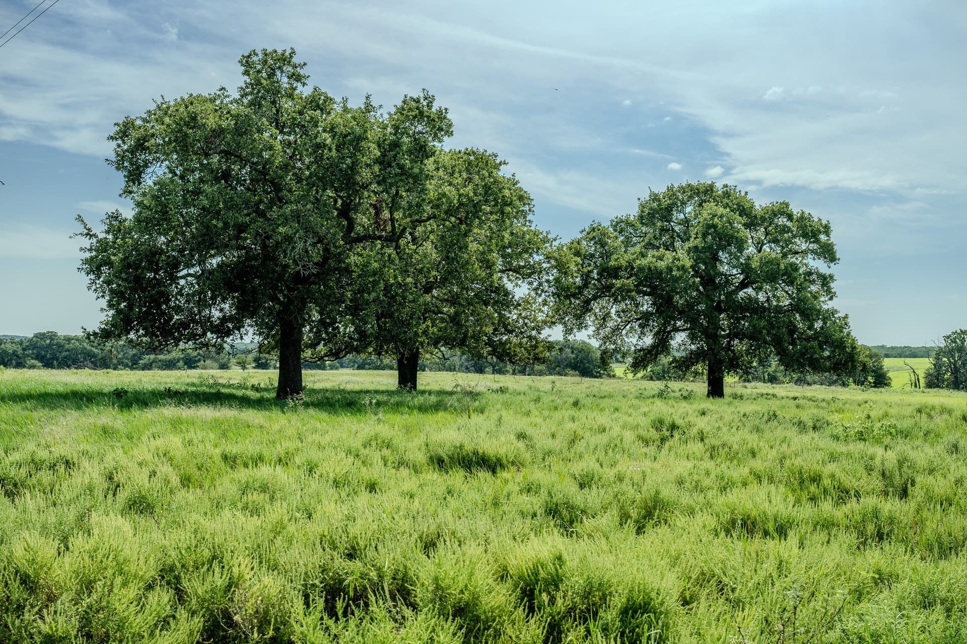 530 acres in Clay County