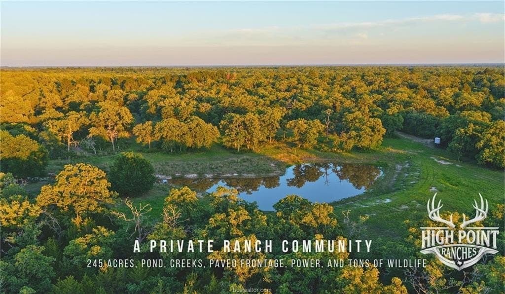 245 acres in Lee County