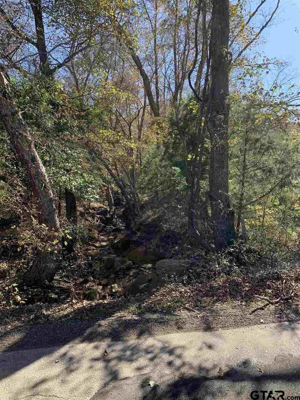 11.61 acres in Smith County