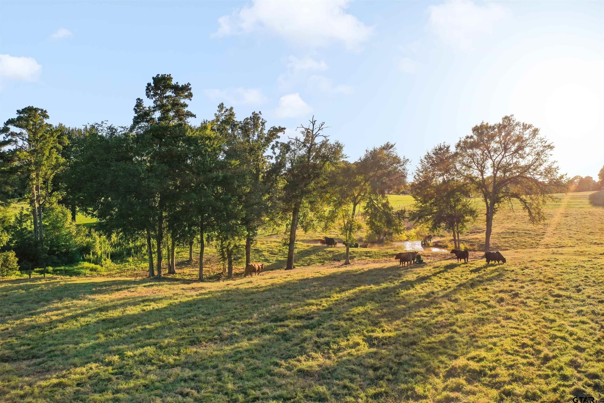 14.07 acres in Smith County