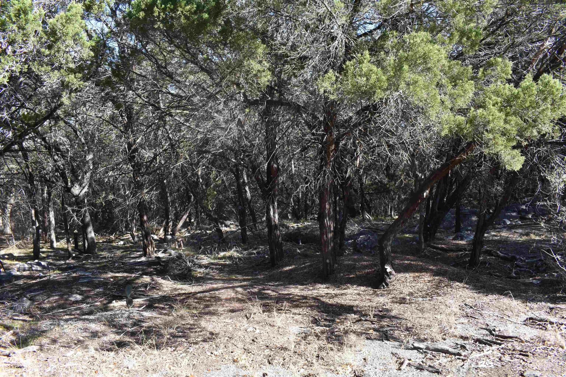0.28 acres in Burnet County