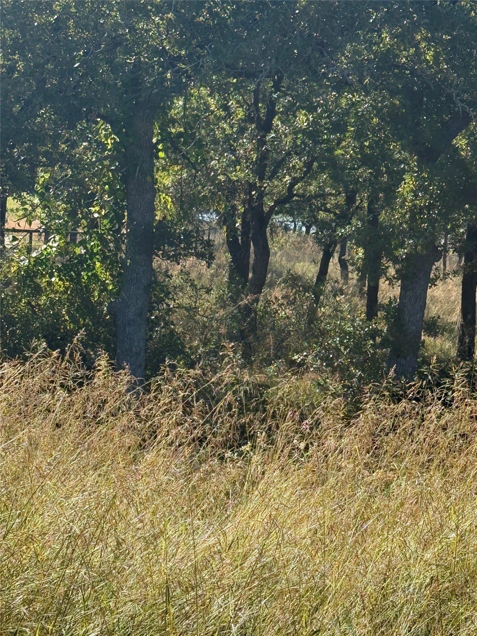 1 acres in Wise County
