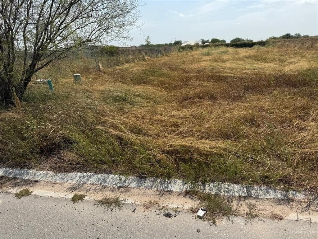 0.17 acres in Hidalgo County
