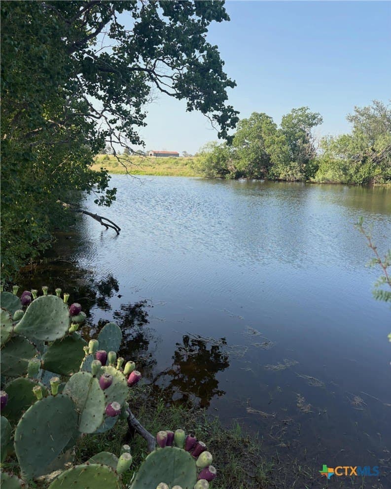 75 acres in Guadalupe County