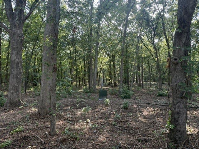 10 acres in Lamar County
