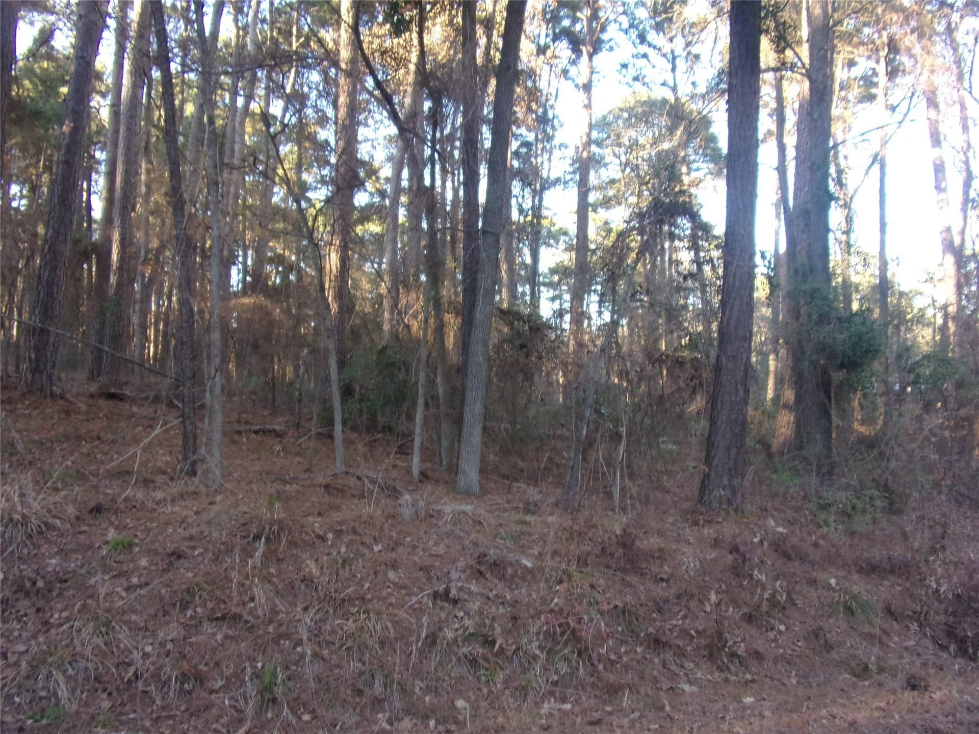 0.22 acres in Smith County