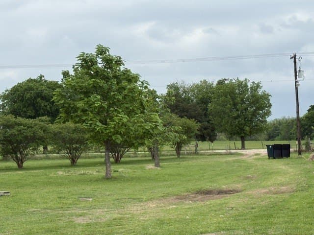 13 acres in Fannin County