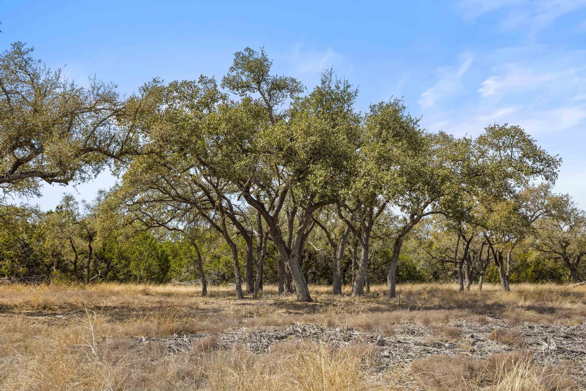 54 acres in Blanco County