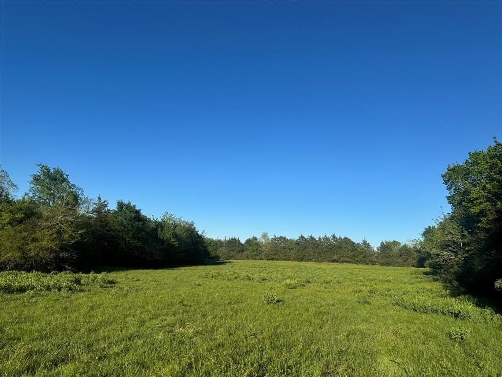 38.74 acres in Titus County