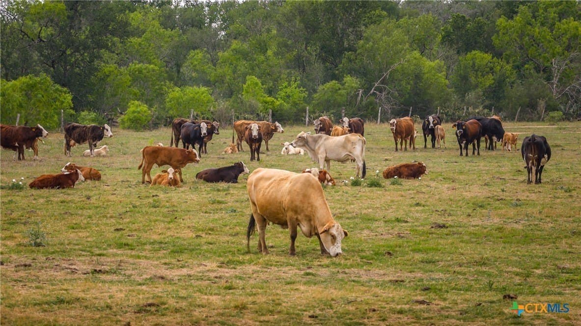 445.99 acres in Gonzales County