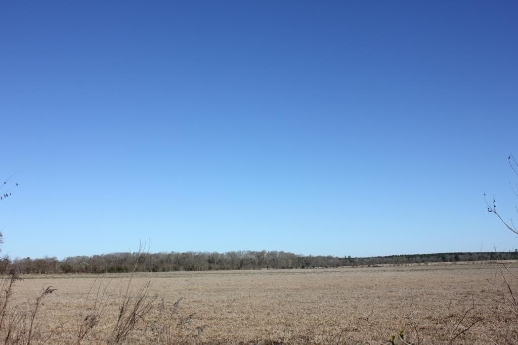 11.5 acres in Texas County