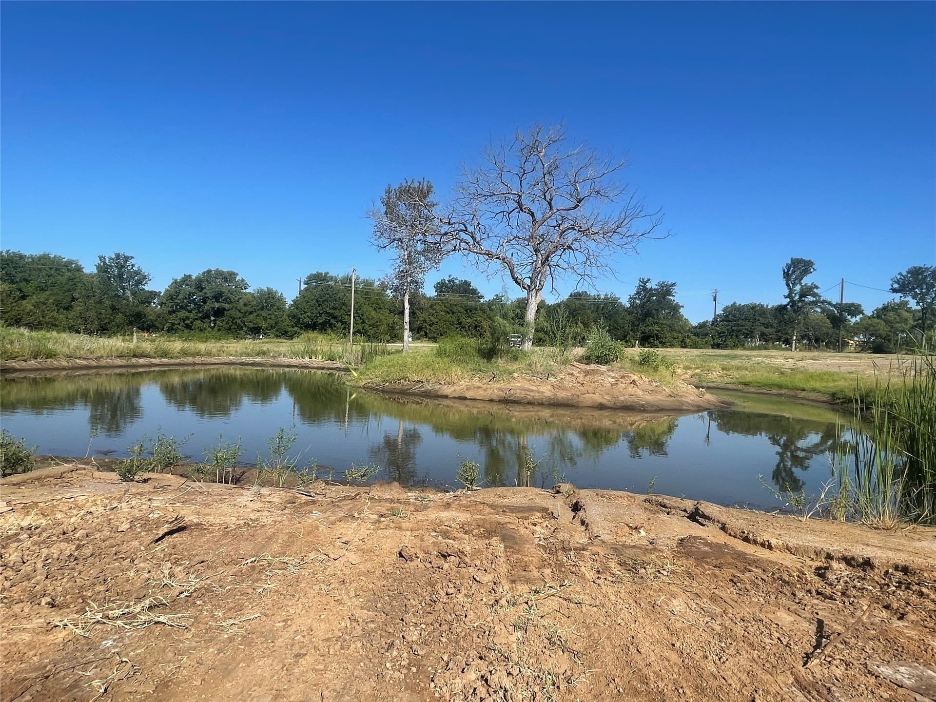 4.5 acres in Young County
