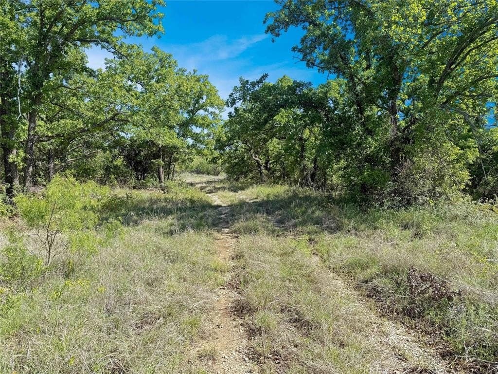 149.62 acres in Eastland County