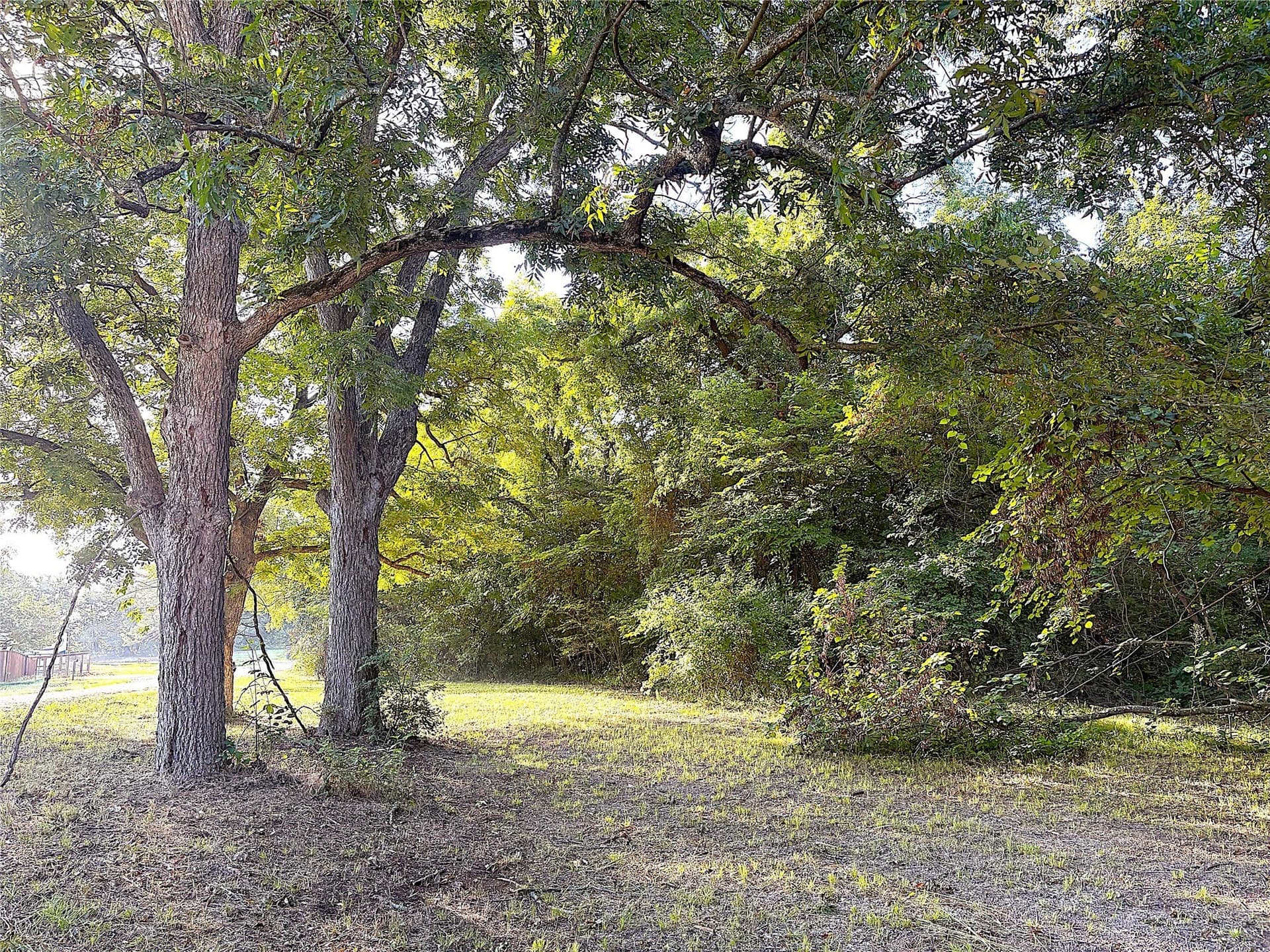 2 acres in Grayson County