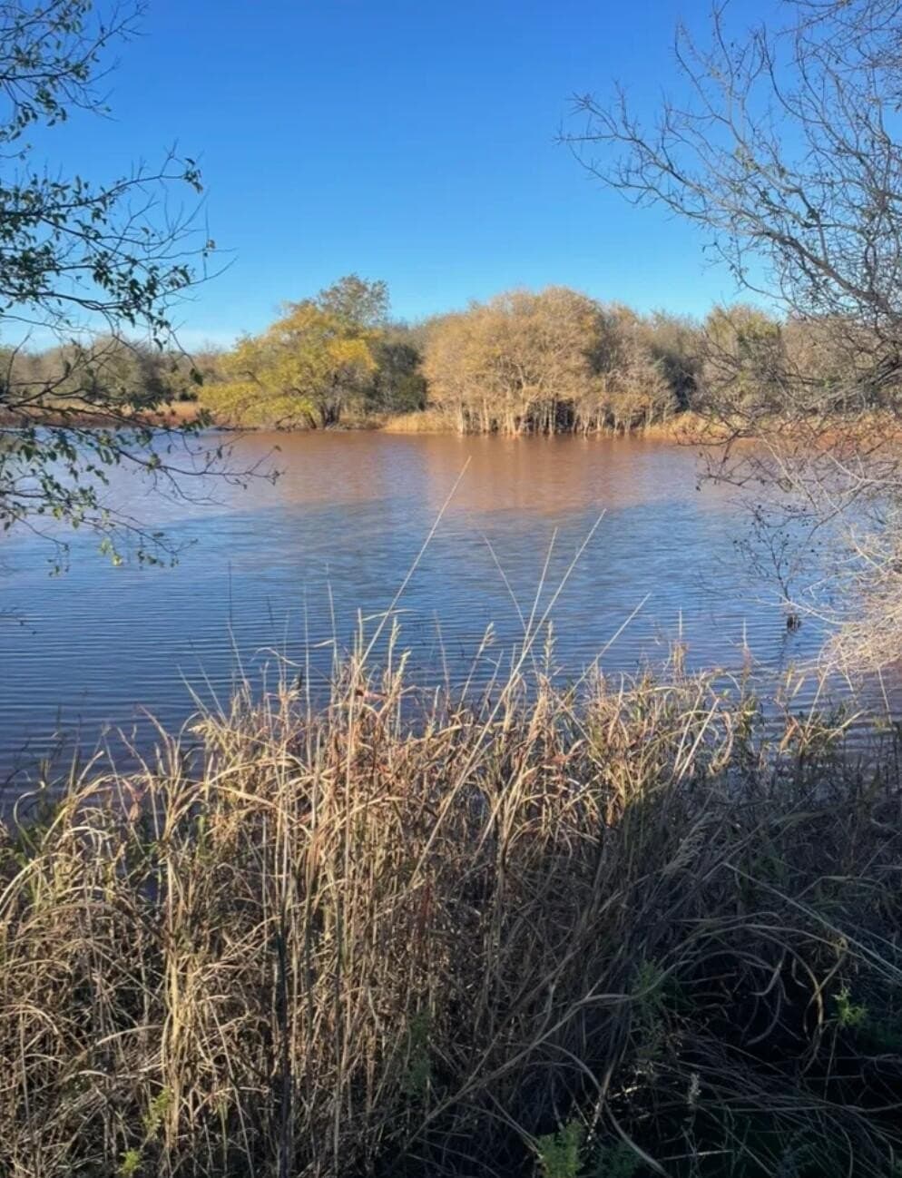165.72 acres in Kent County
