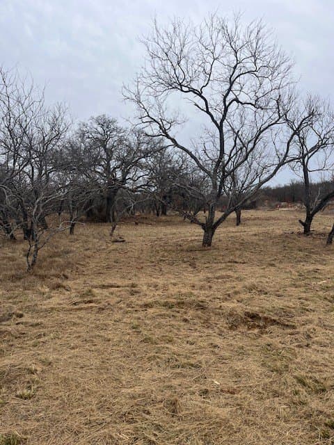 17.18 acres in Jack County