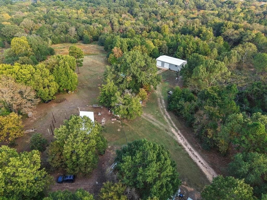 20 acres in Lamar County