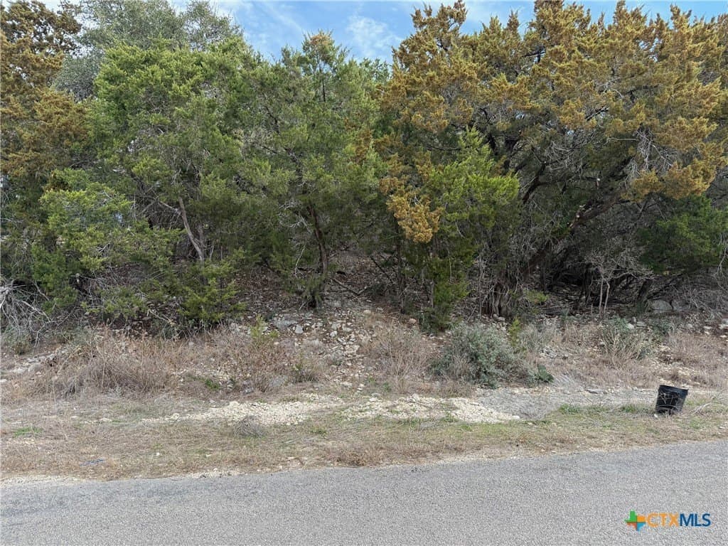 0.25 acres in Comal County