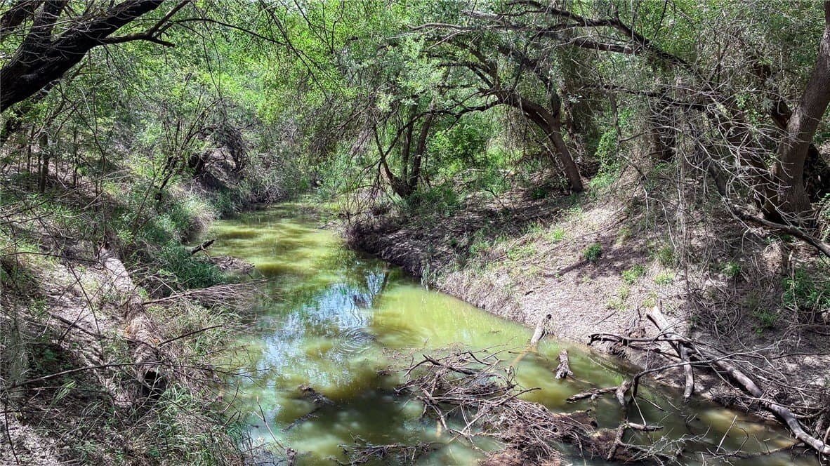 1 acres in Live Oak County