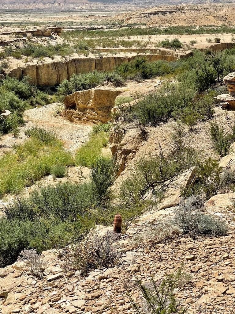 320 acres in Brewster County