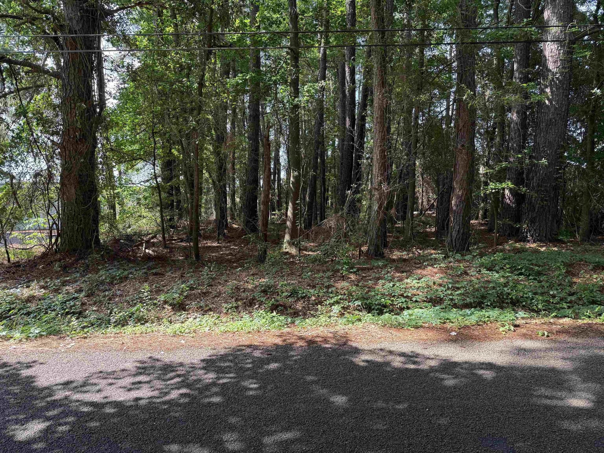 0.34 acres in Gregg County