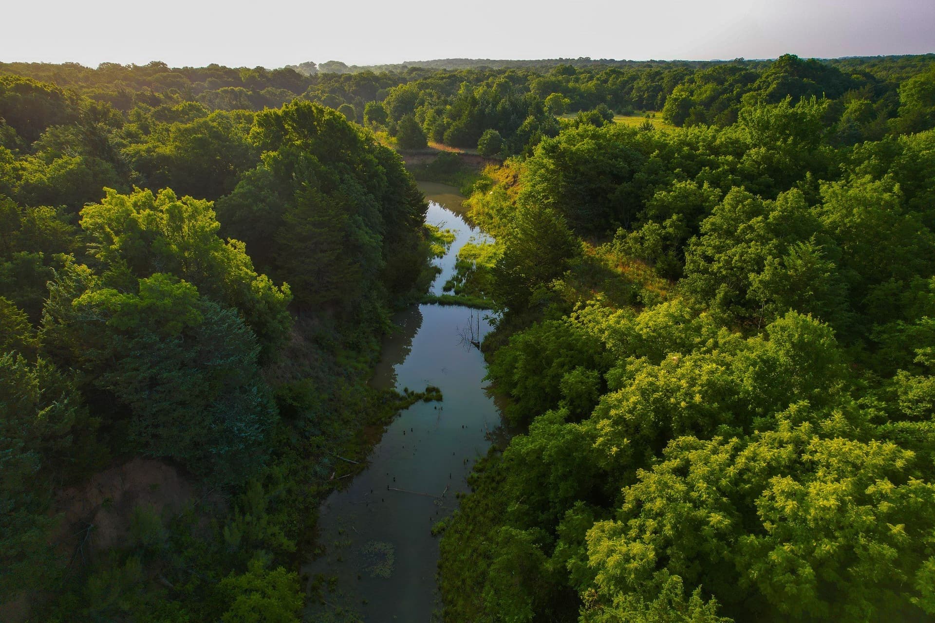 144 acres in Montague County