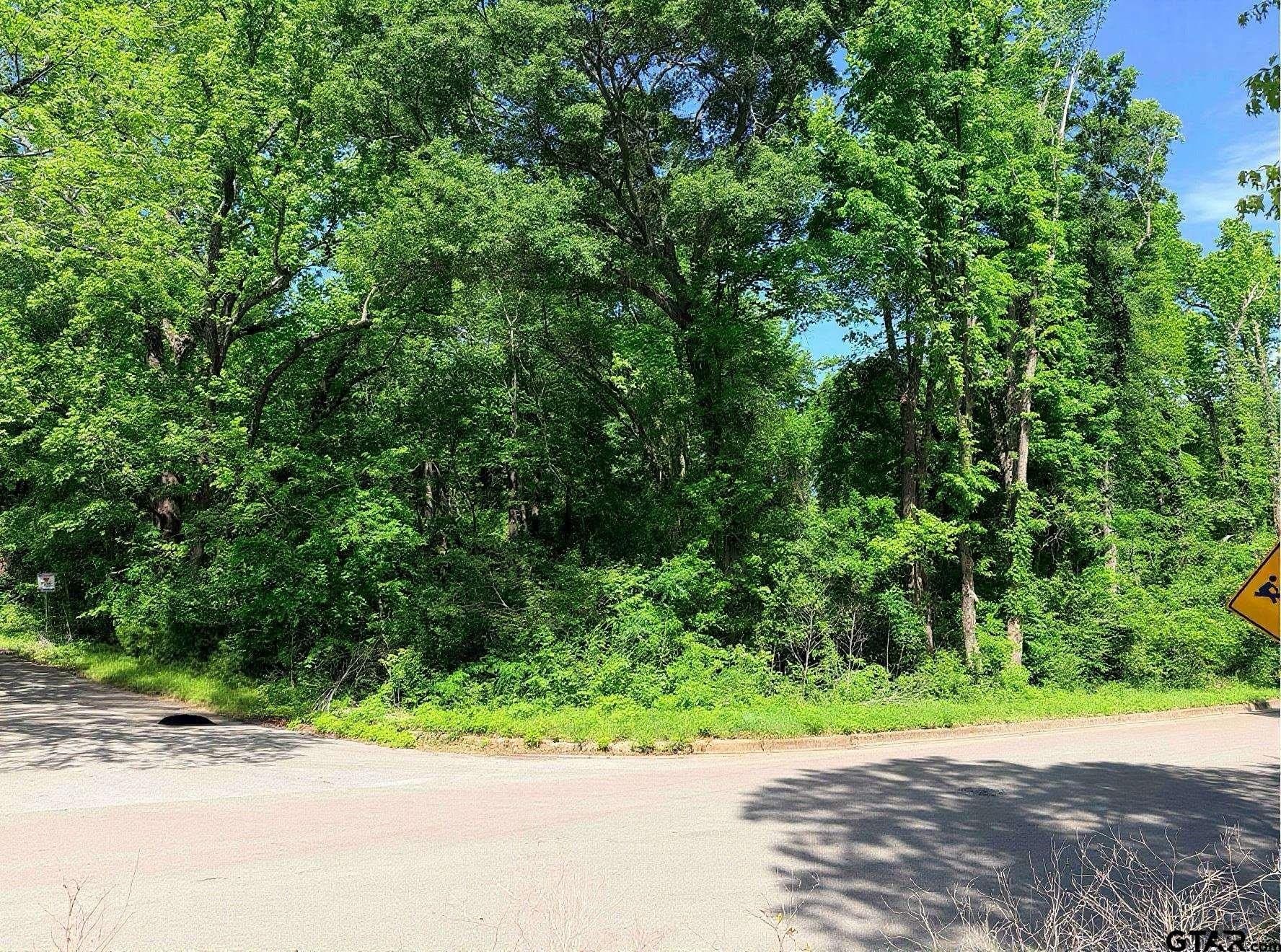 0.26 acres in Smith County