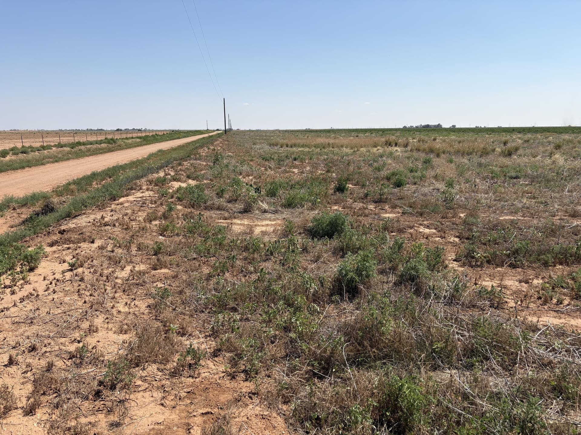 177.15 acres in Hockley County