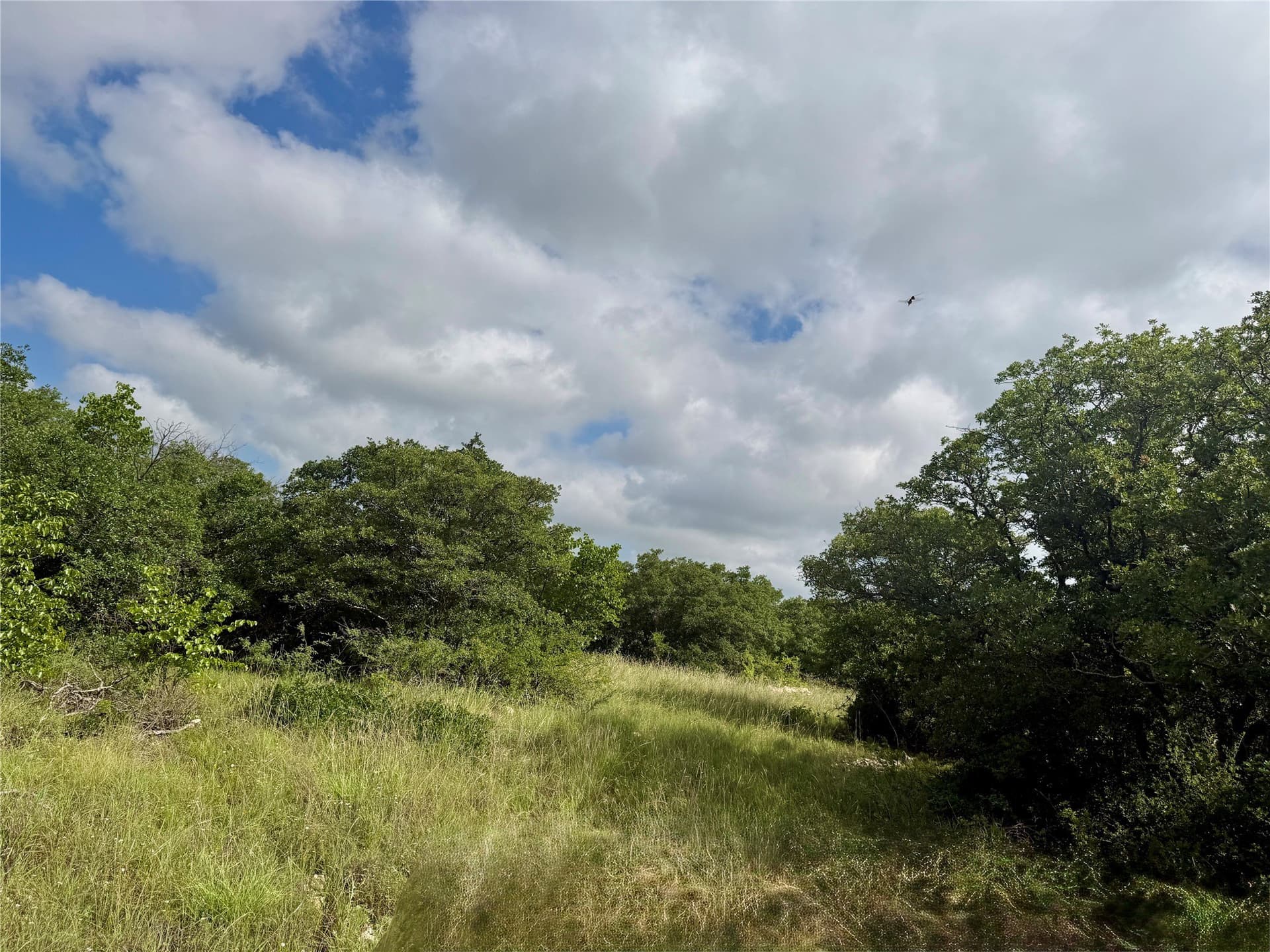15.48 acres in Coleman County