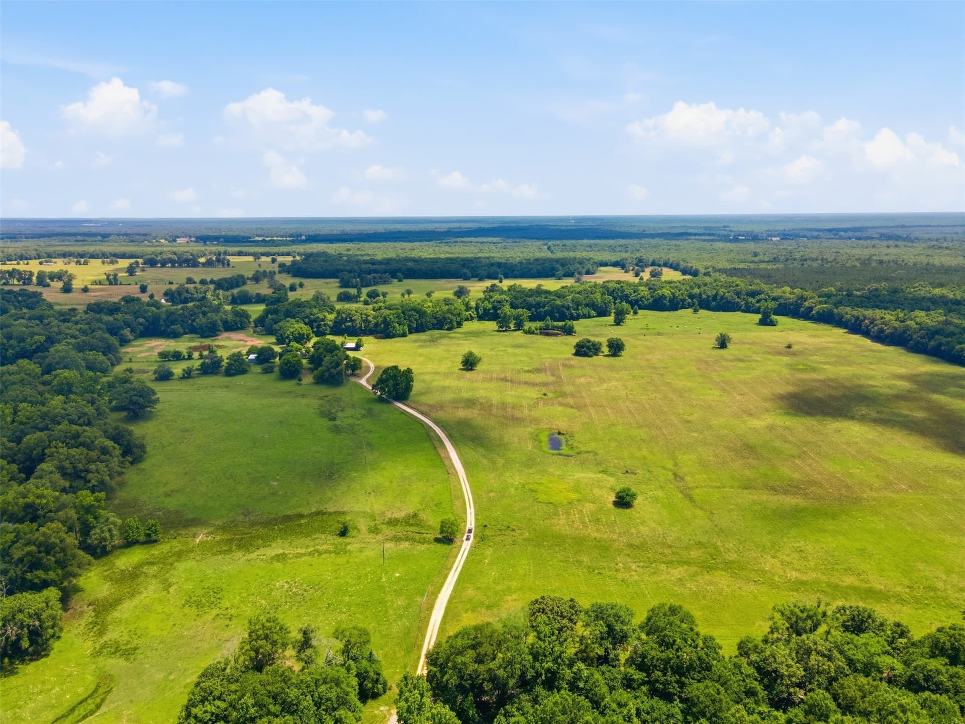 315 acres in Red River (TX) County
