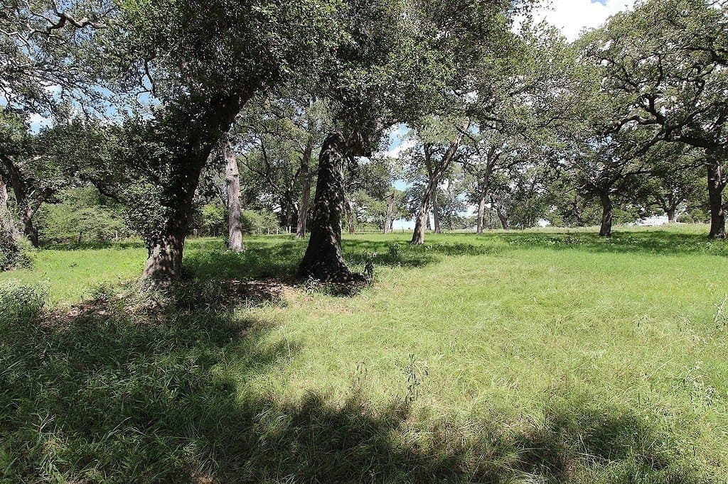23.89 acres in Fayette County