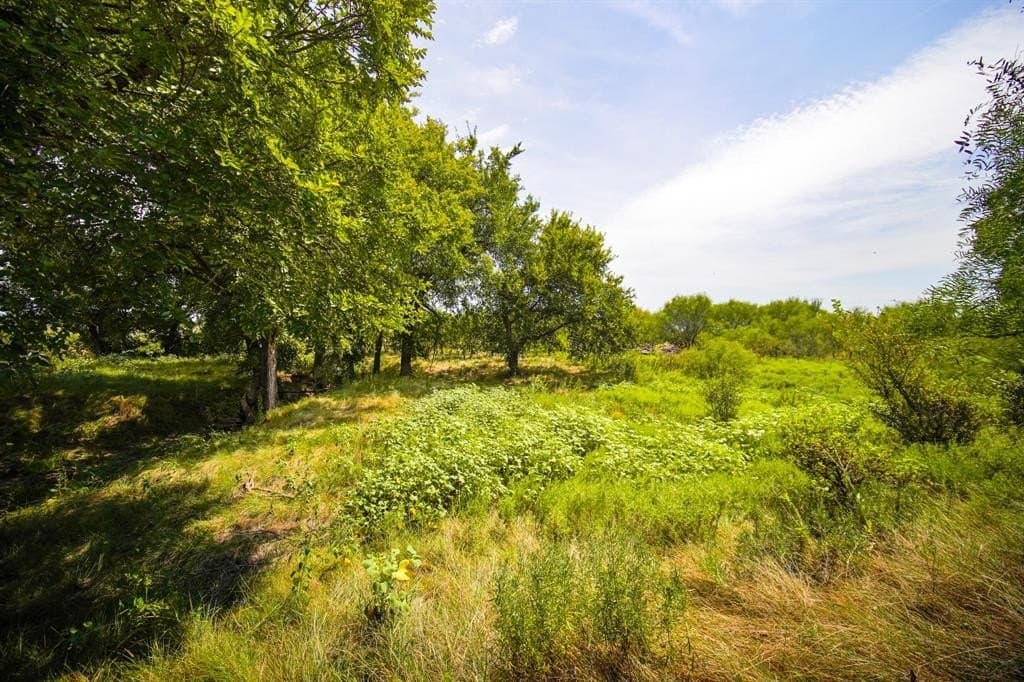 29.17 acres in Jack County