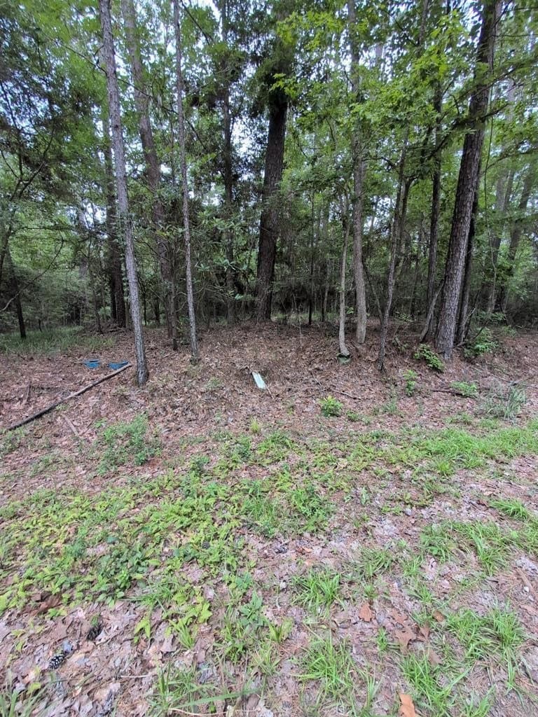 0.23 acres in Texas County