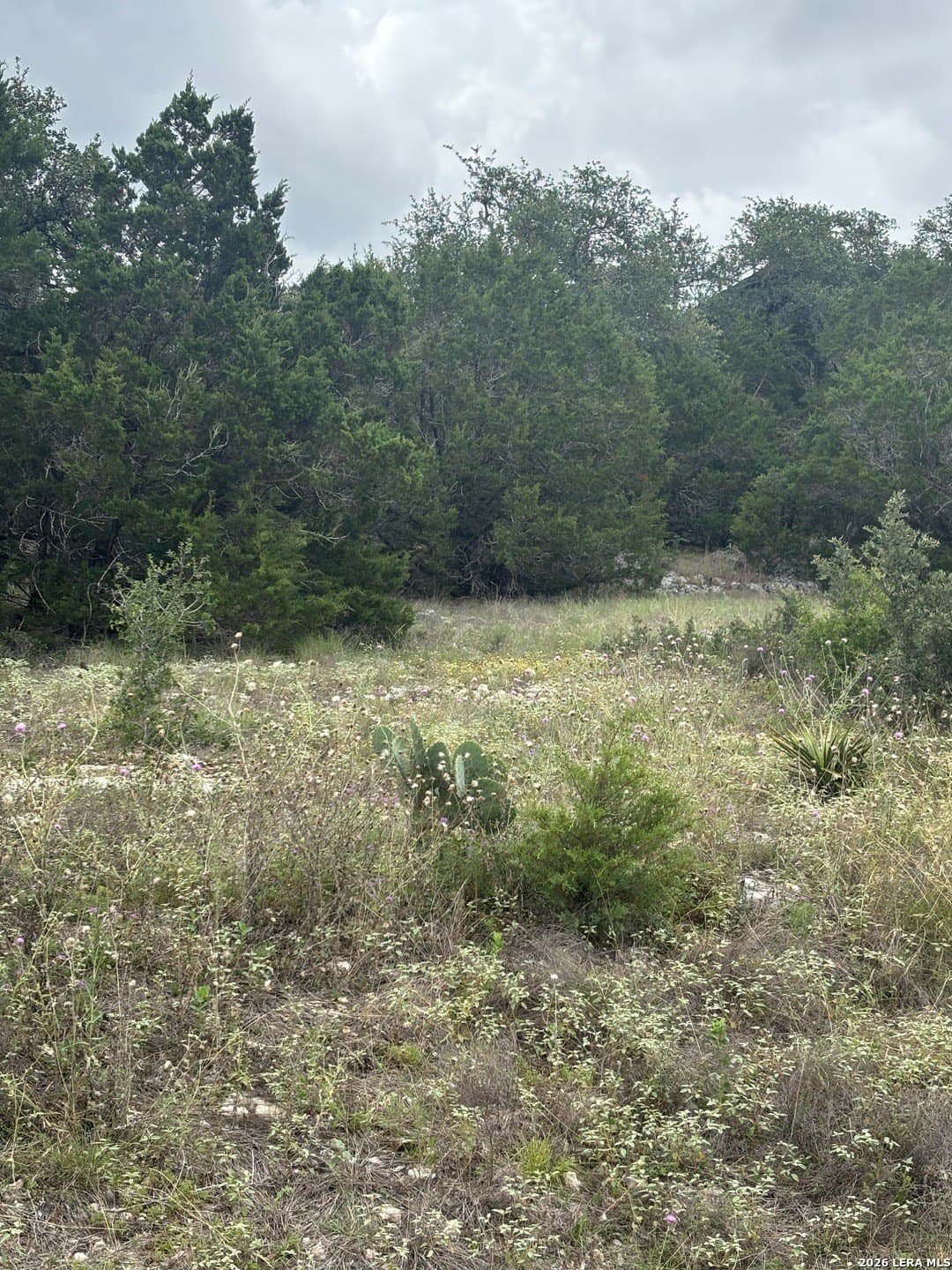 1.06 acres in Comal County