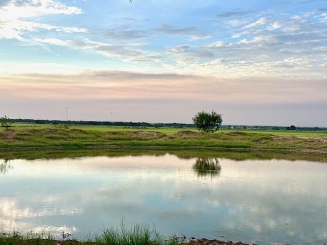 209.91 acres in Callahan County