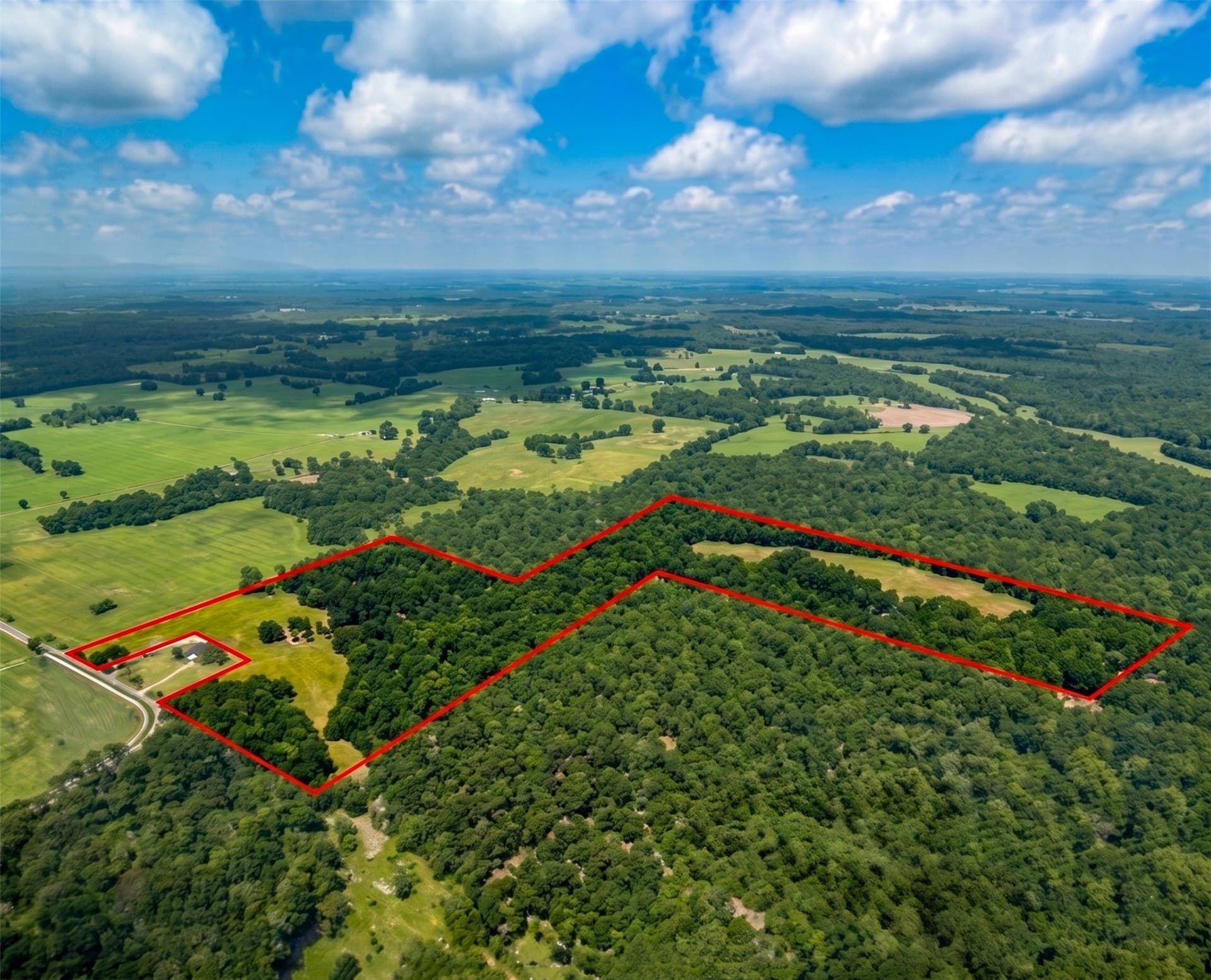 45.25 acres in Lamar County