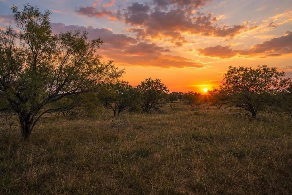13.44 acres in Callahan County