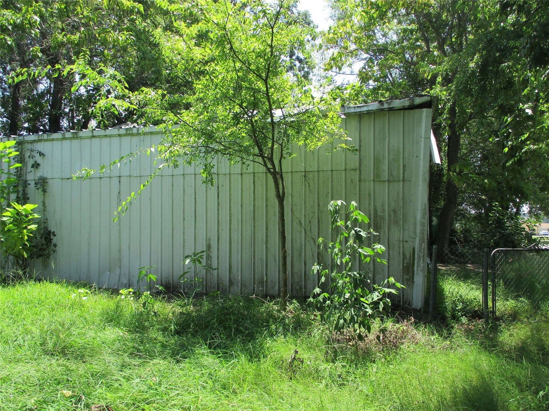 0.31 acres in Rains County