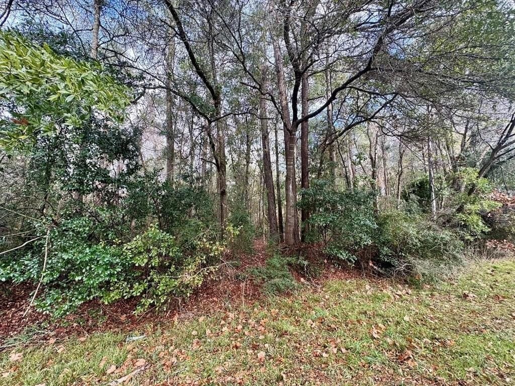 0.3 acres in Texas County