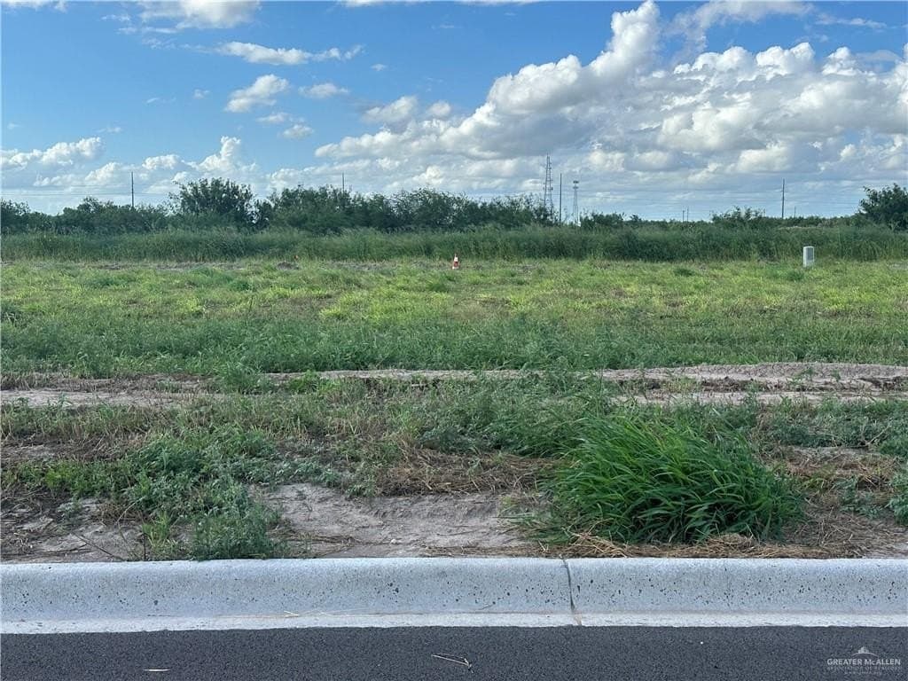 0.19 acres in Hidalgo County