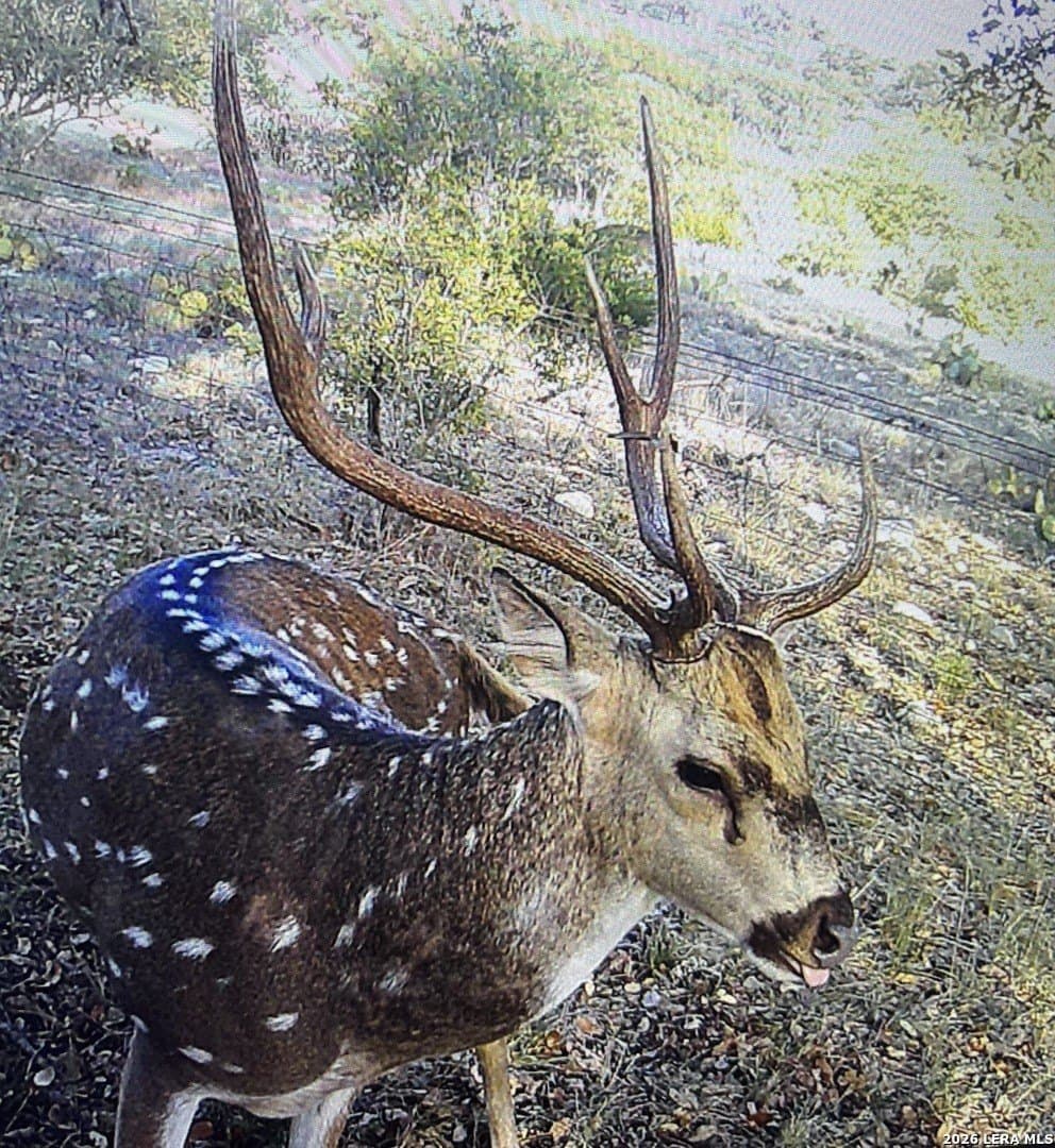33.93 acres in Edwards County