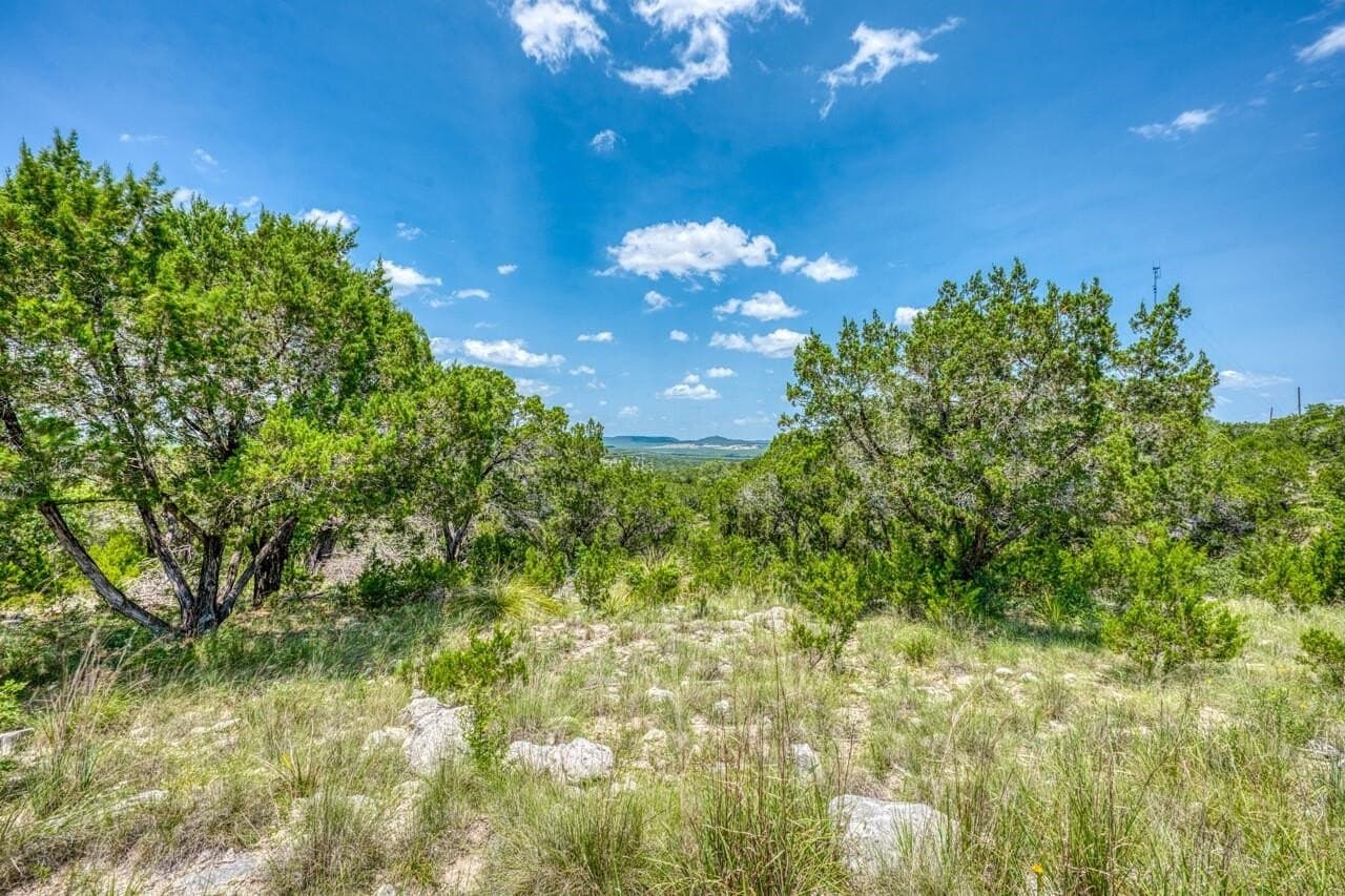 83.08 acres in Travis County