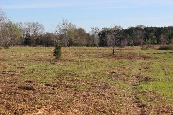 6 acres in Harrison County
