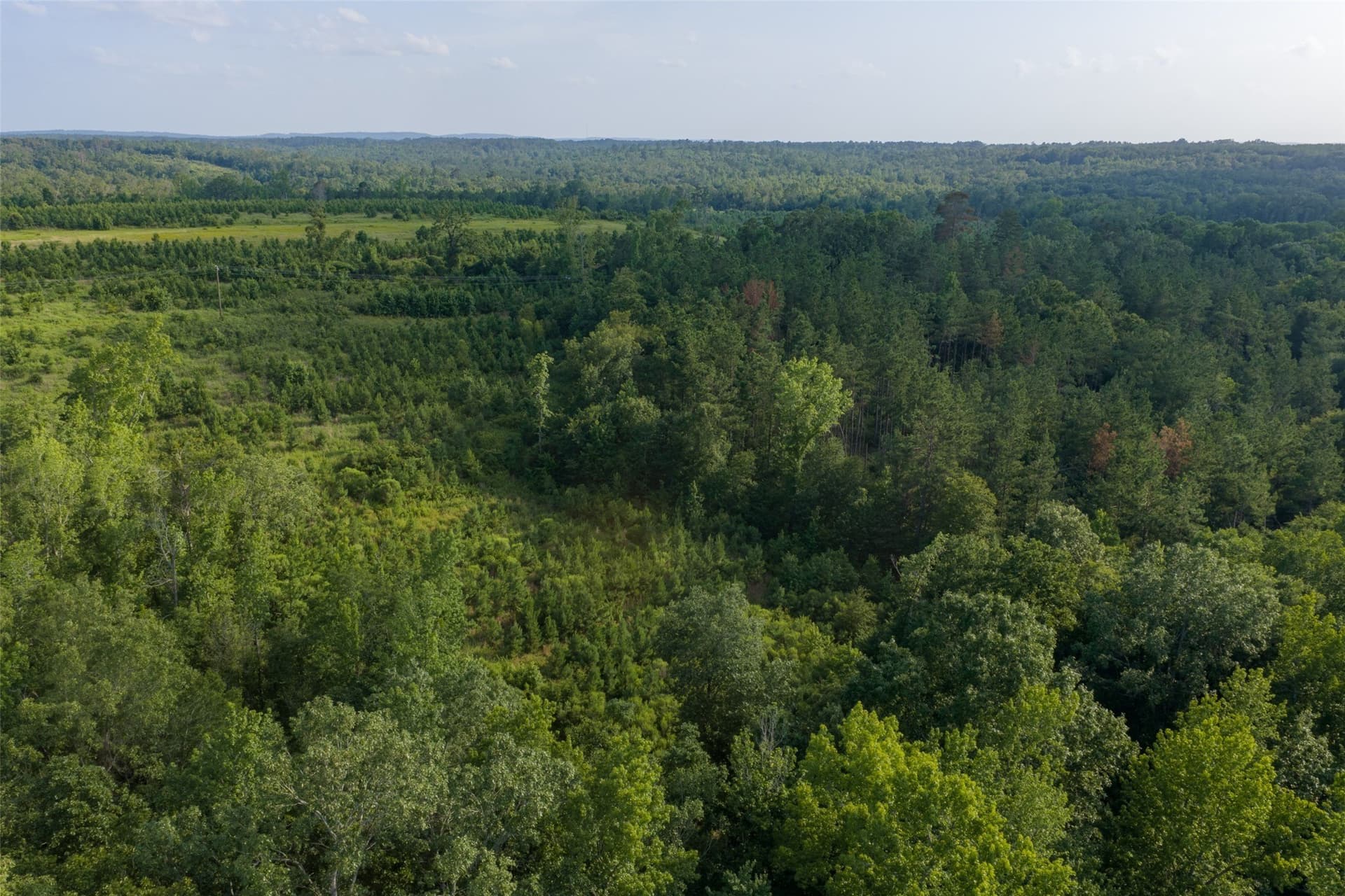 12.36 acres in Rusk County