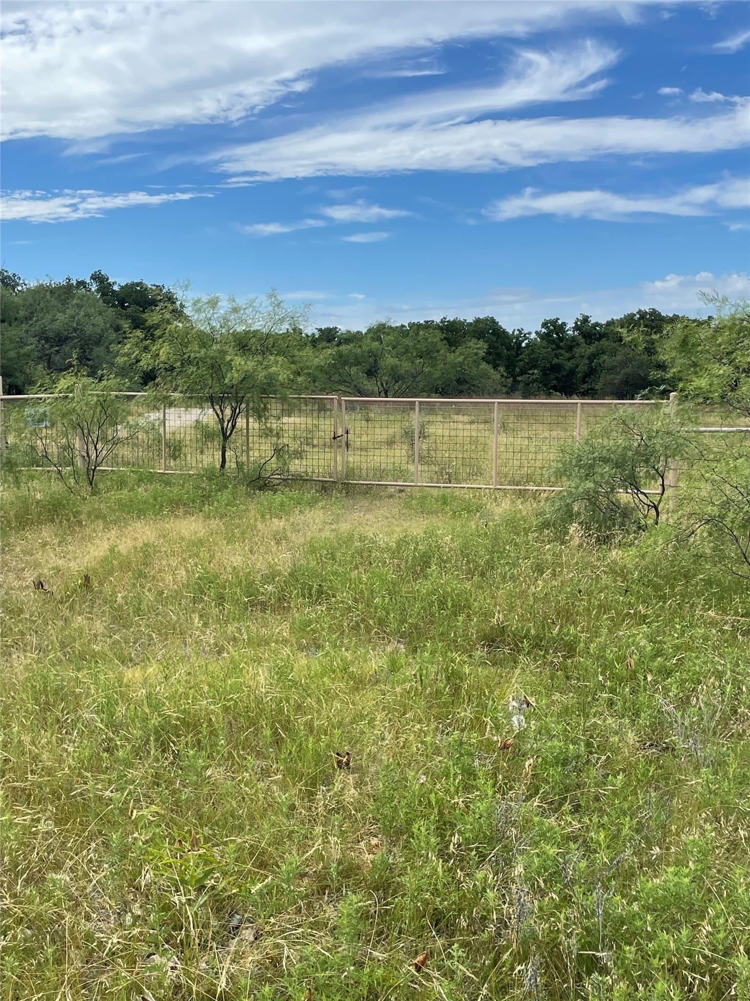 31.09 acres in Jack County